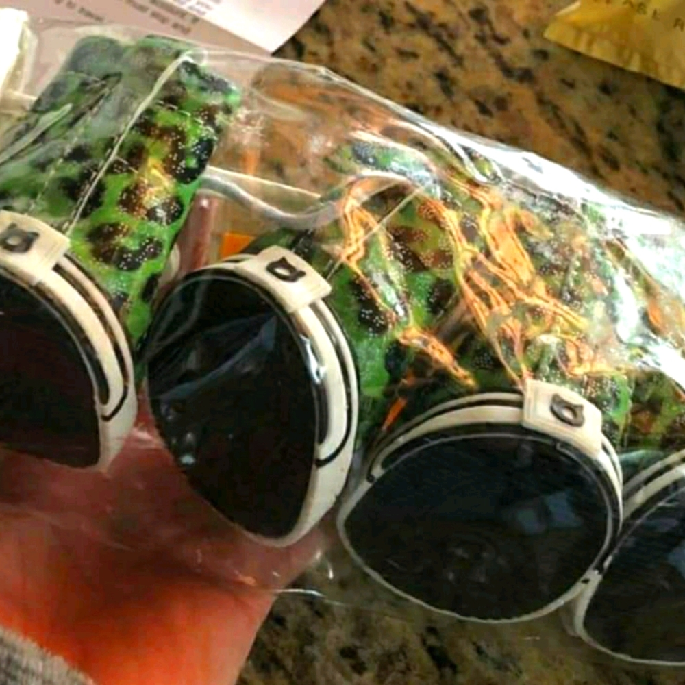 Pet Converse Shoes